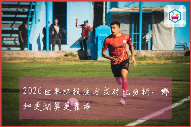 2026世界杯投注方式对比分析，哪种更划算更靠谱