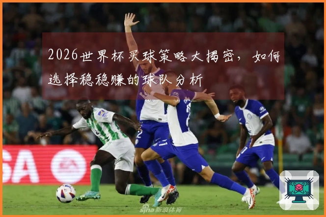 2026世界杯买球策略大揭密,如何选择稳稳赚的球队分析