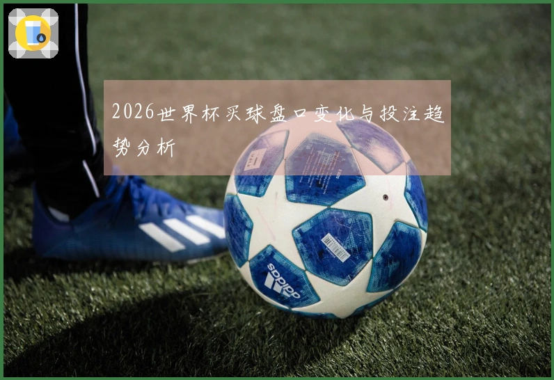 2026世界杯买球盘口变化与投注趋势分析