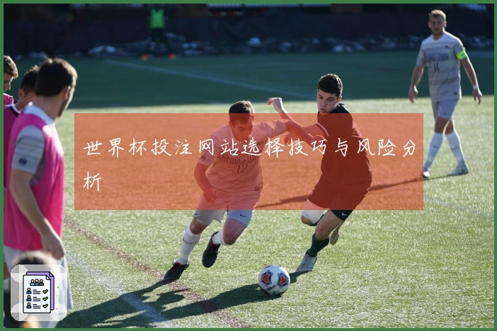 世界杯投注网站选择技巧与风险分析