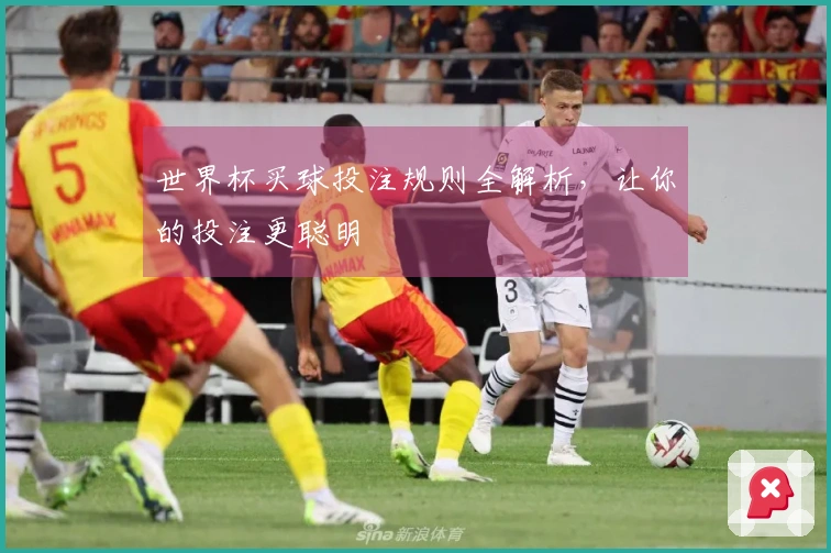 世界杯买球投注规则全解析，让你的投注更聪明