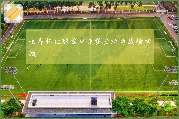 世界杯让球盘口走势分析与战绩回顾