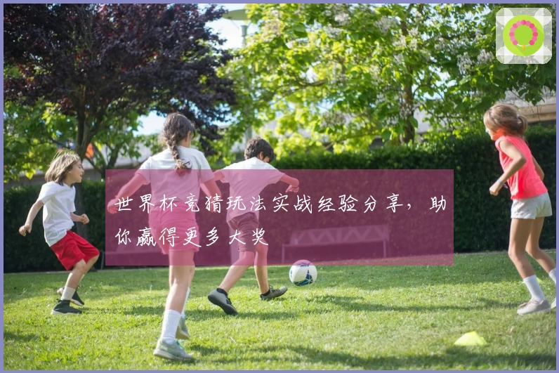 世界杯竞猜玩法实战经验分享,助你赢得更多大奖