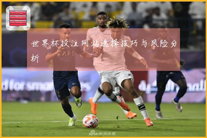 世界杯投注网站选择技巧与风险分析