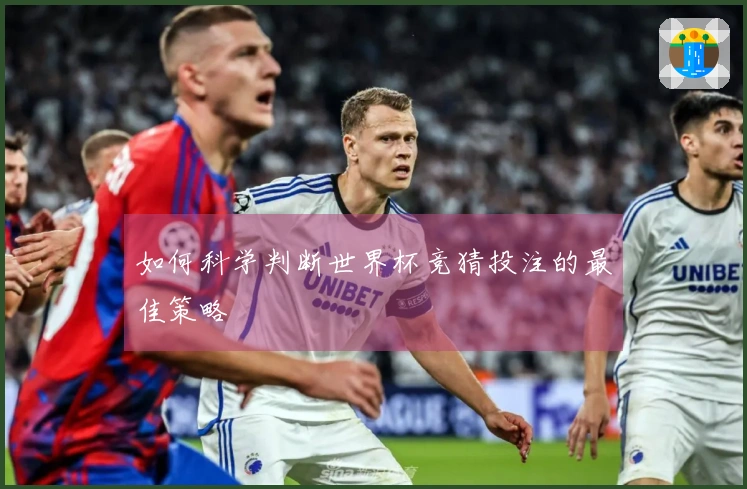 如何科学判断世界杯竞猜投注的最佳策略