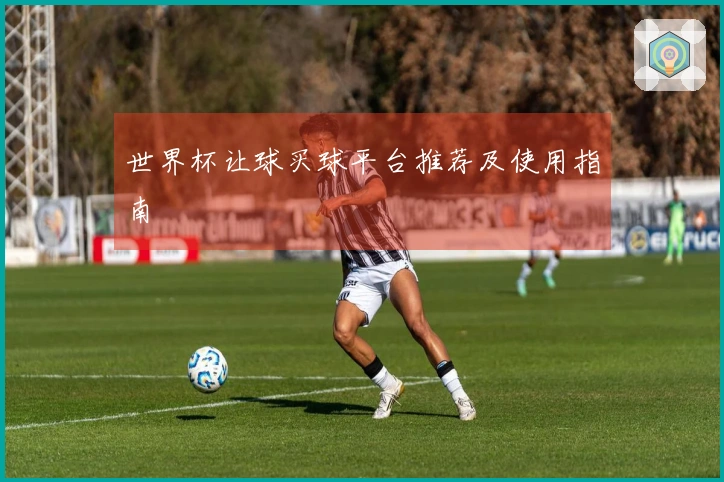 世界杯让球买球平台推荐及使用指南