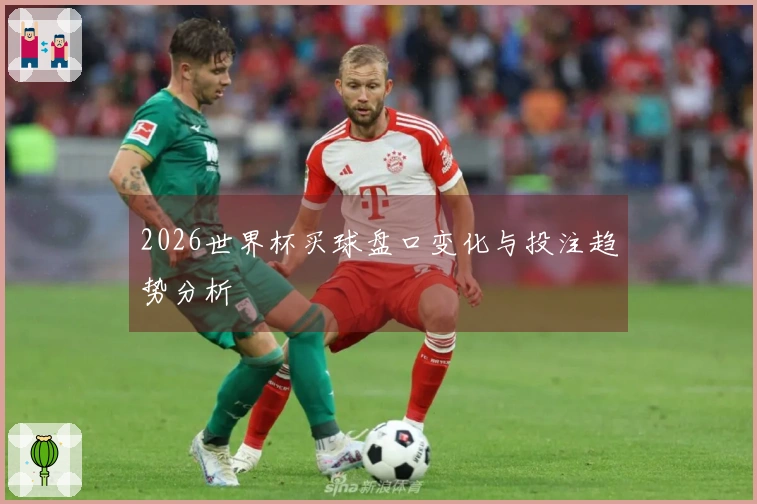 2026世界杯买球盘口变化与投注趋势分析