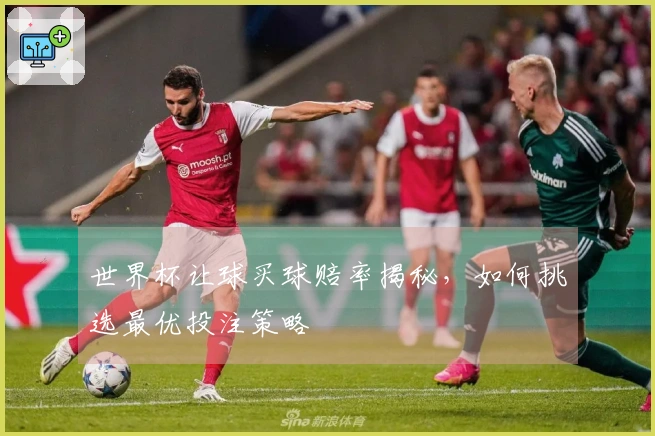 世界杯让球买球赔率揭秘，如何挑选最优投注策略