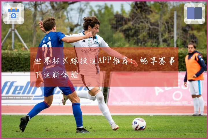 世界杯买球投注APP推荐：畅享赛事下注新体验