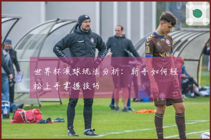 世界杯滚球玩法分析：新手如何轻松上手掌握技巧