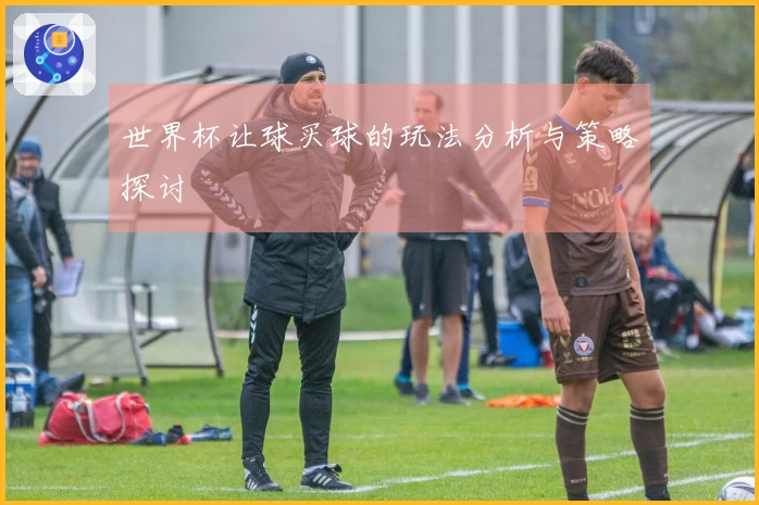 世界杯让球买球的玩法分析与策略探讨