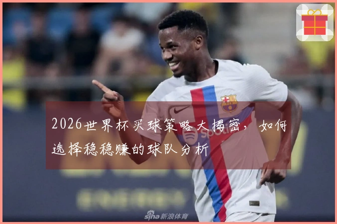 2026世界杯买球策略大揭密，如何选择稳稳赚的球队分析