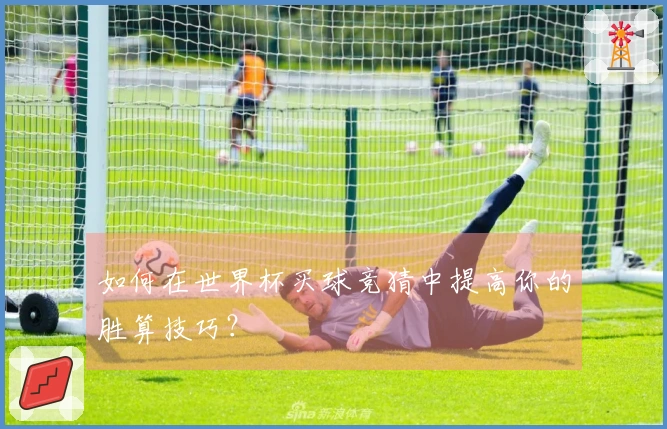 如何在世界杯买球竞猜中提高你的胜算技巧？